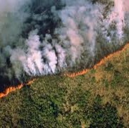 L'Amazonie en feu et accord Mercosur